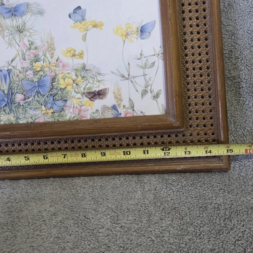 Vintage Faux Wicker Frame With Butterfly Print Boho Cottagecore 13x15